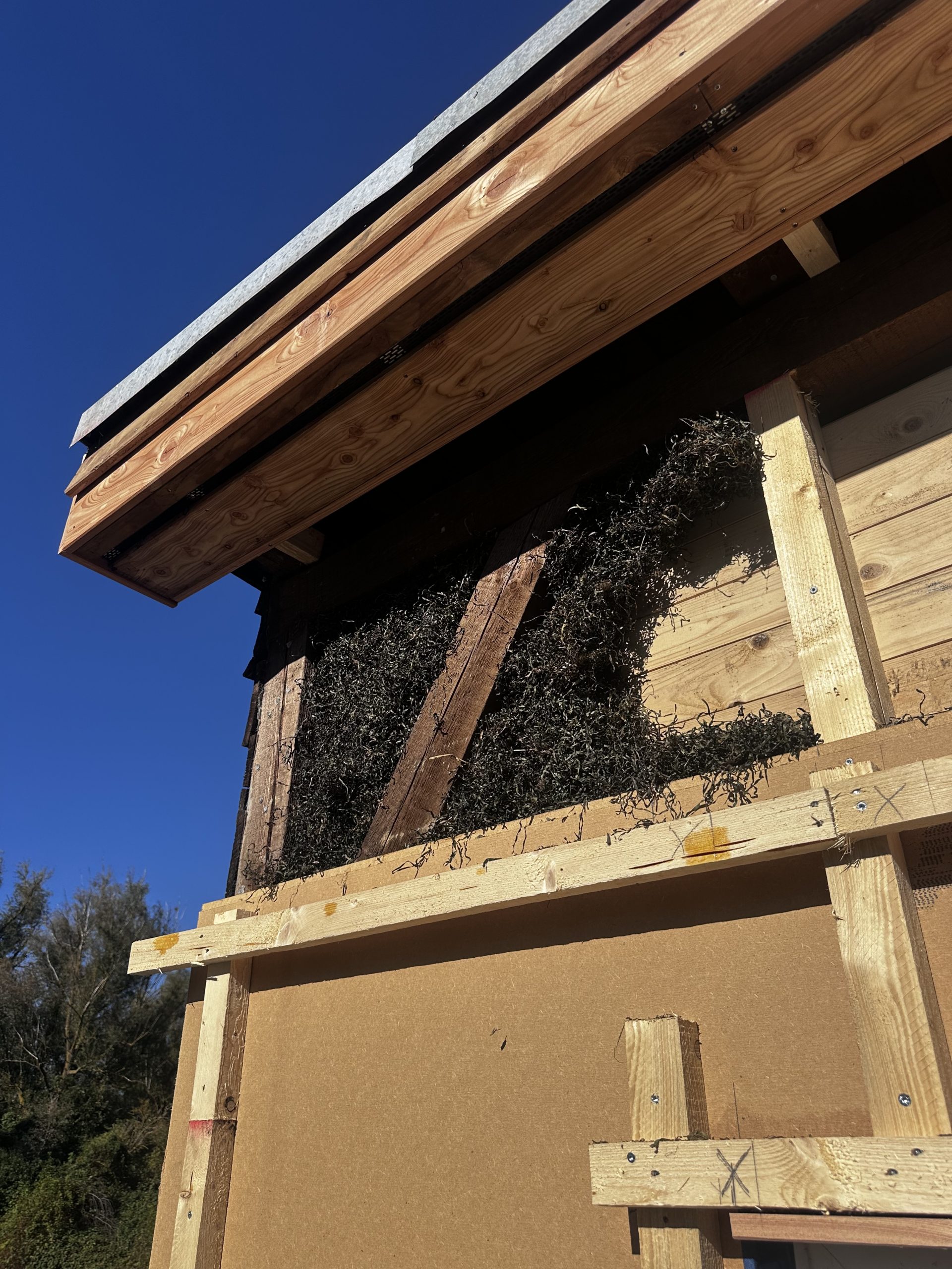 Seegrasdämmung Holzhaus dämmen
