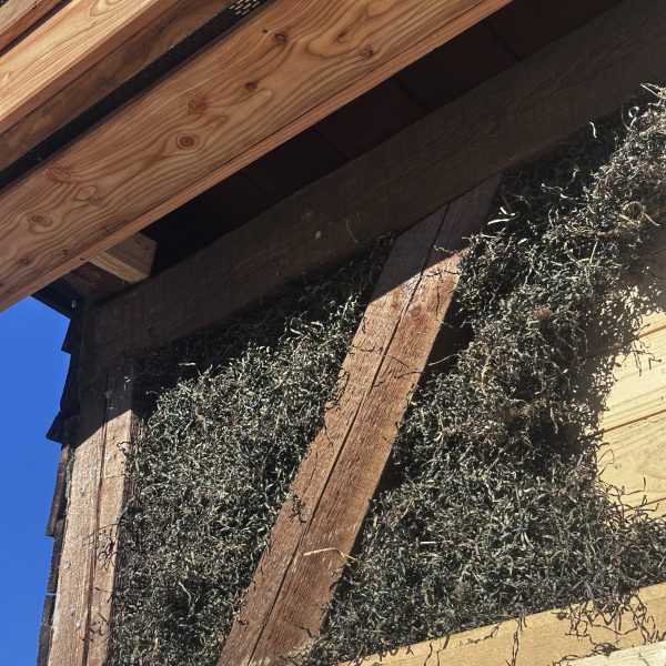 Seegrasdämmung Holzrahmenbau