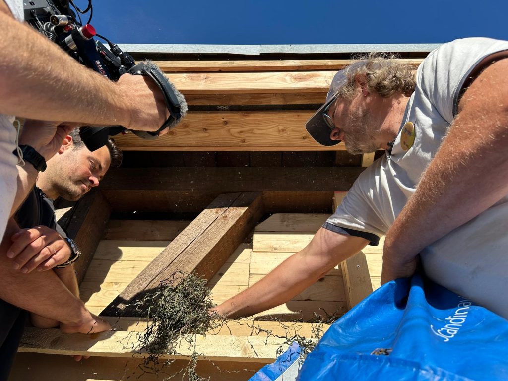 Seegrasdämmung Stopfmaterial