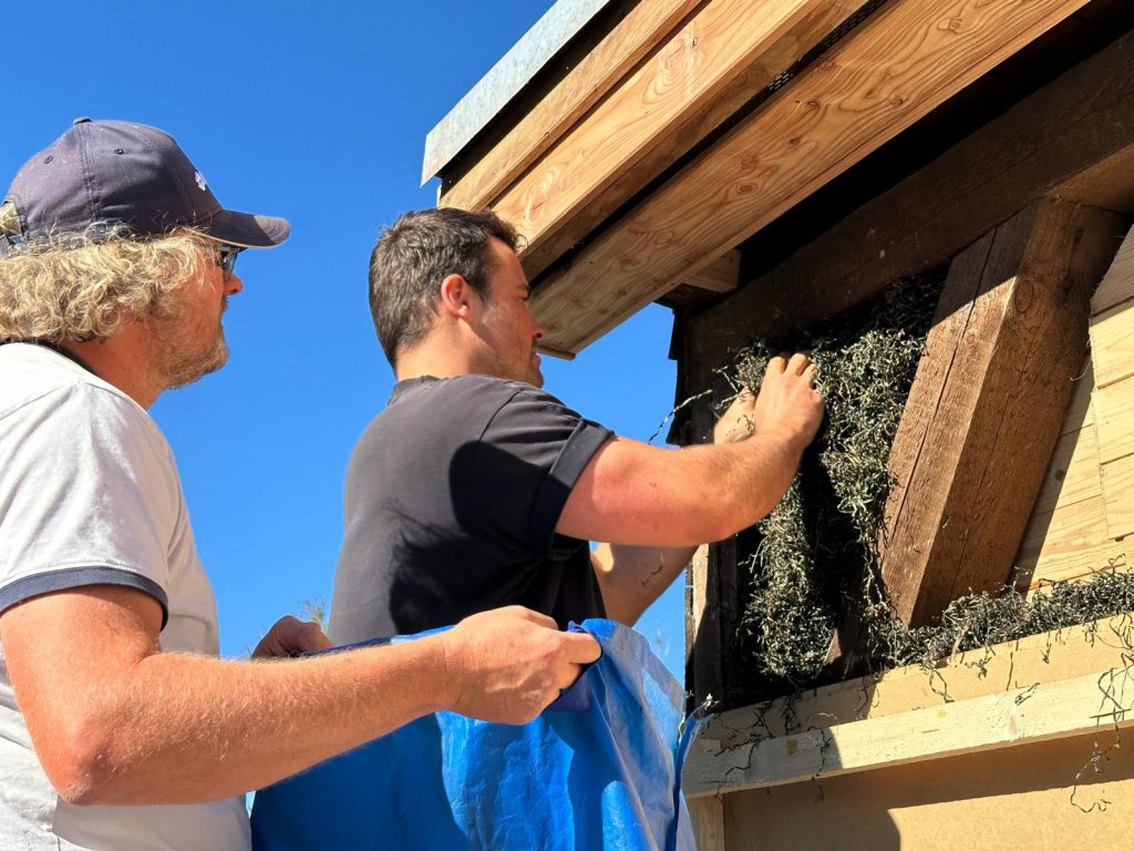 Build Blue Seegras Stopfdämmung