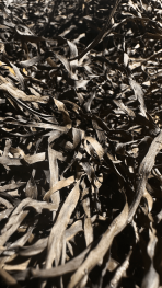 Premium Seegras - Kissenfüllung und Dekoration