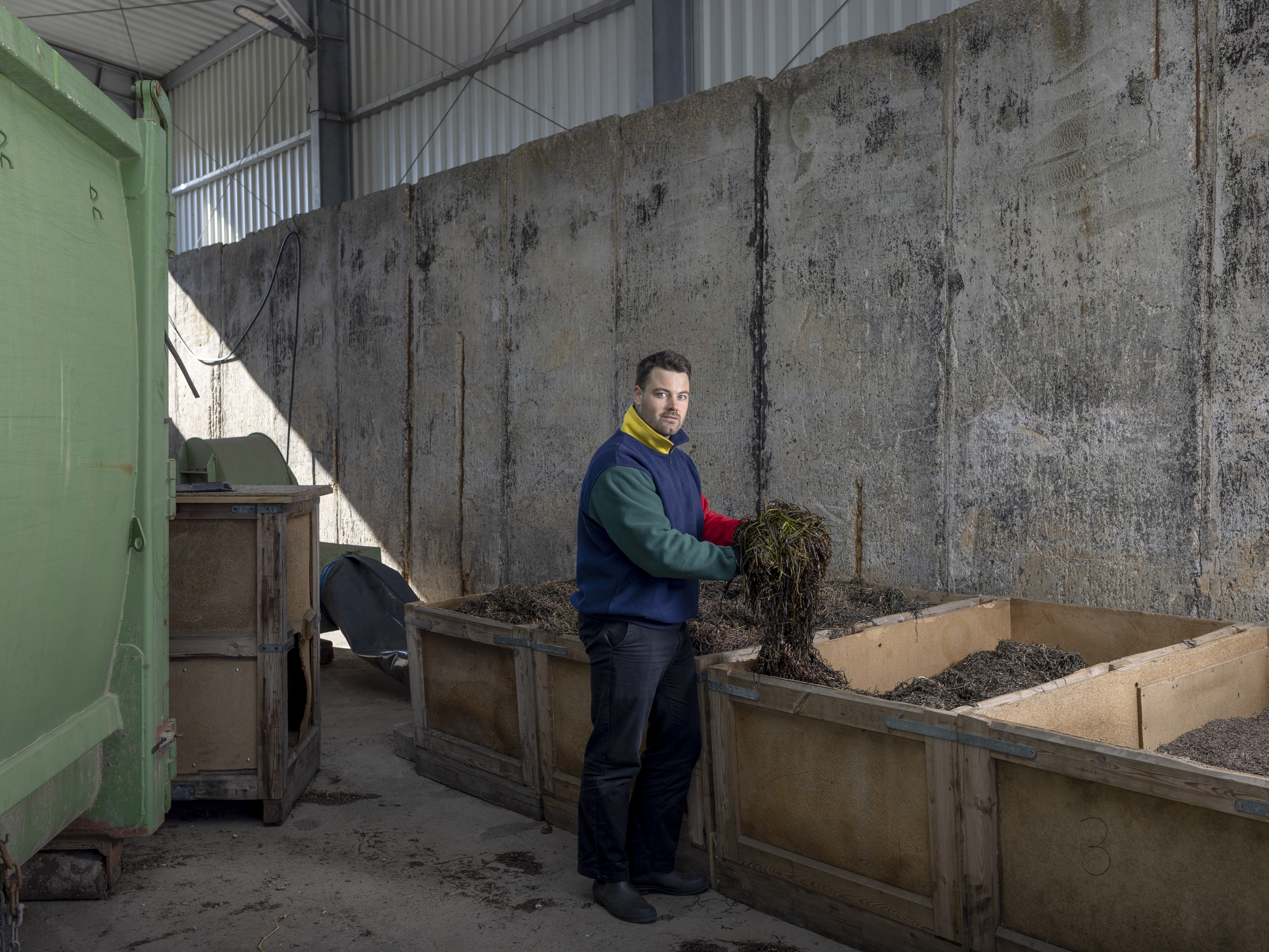 Mitarbeiter sortiert verarbeitetes Seegras in Lagerboxen in der Build-Blue-Produktion